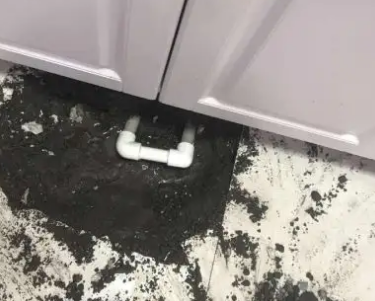 金山屯查漏水哪家好