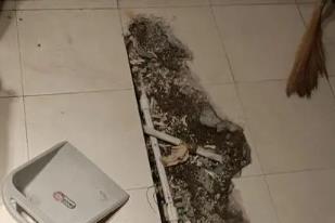 金山屯卫生间漏水检测电话